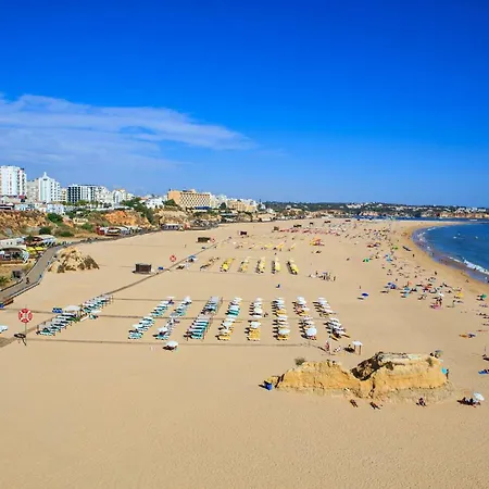Rocha T1
